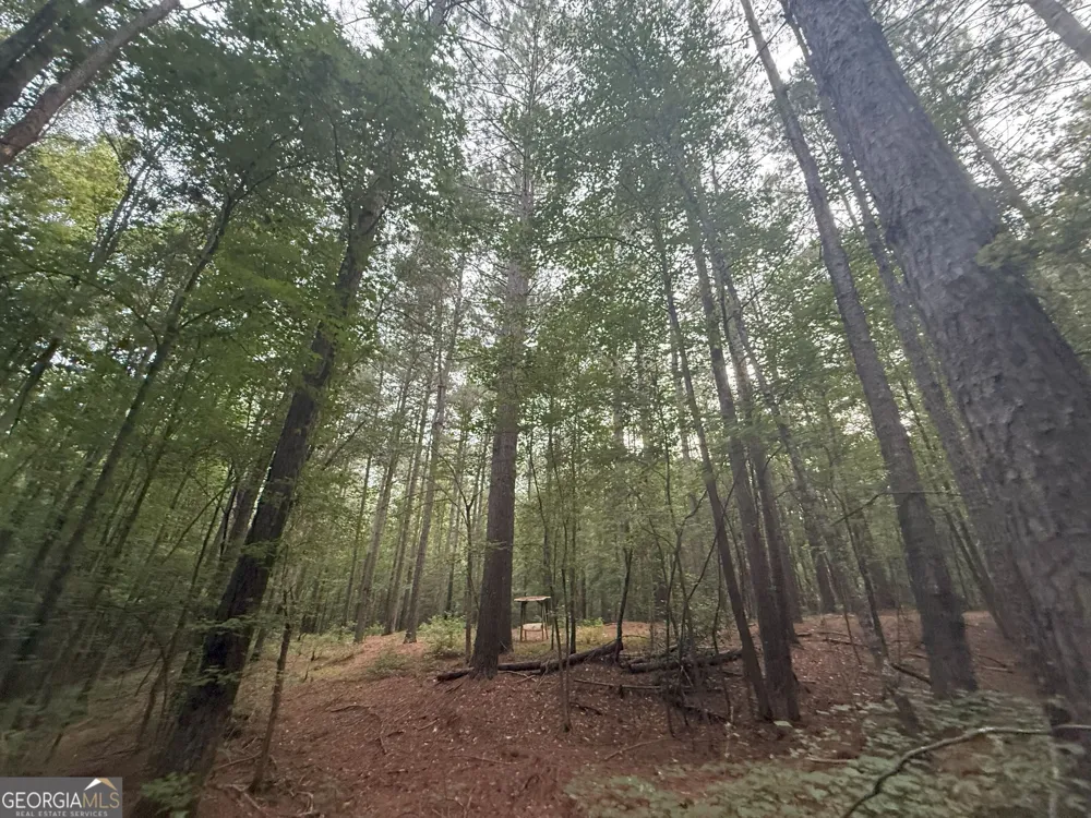11 Owens RD Maysville, GA 30558