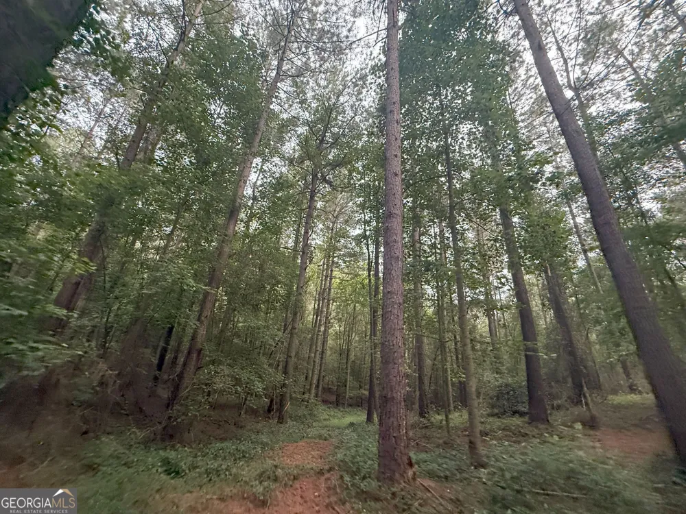 11 Owens RD Maysville, GA 30558