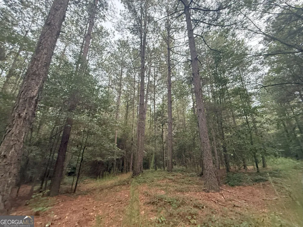 11 Owens RD Maysville, GA 30558