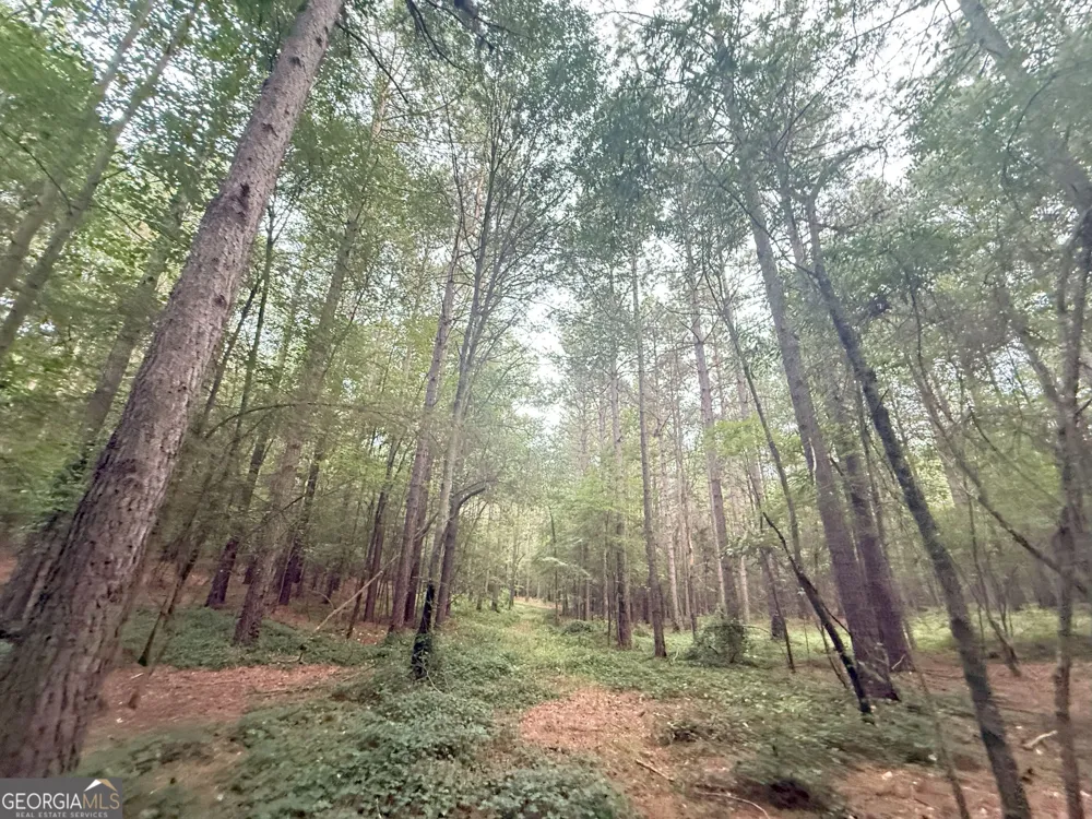 11 Owens RD Maysville, GA 30558