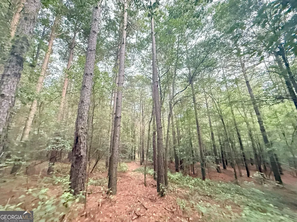 11 Owens RD Maysville, GA 30558