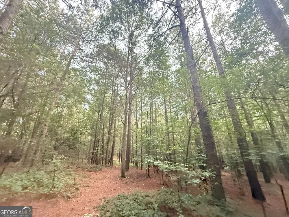 11 Owens RD Maysville, GA 30558