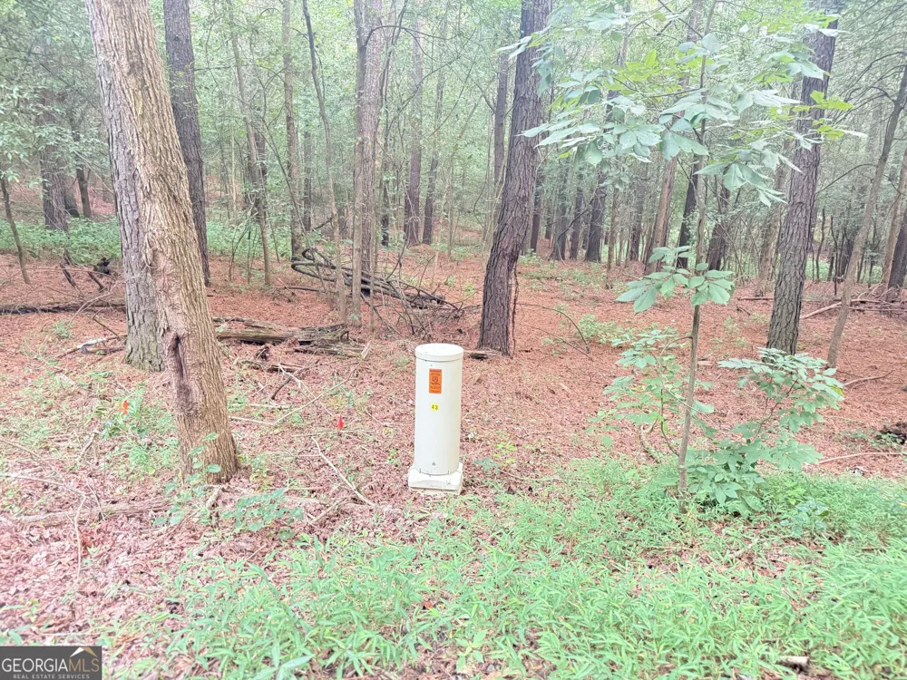11 Owens RD Maysville, GA 30558