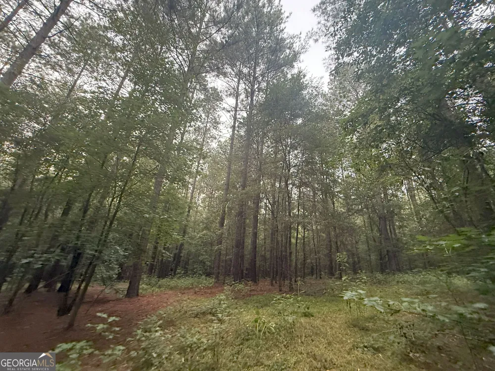 11 Owens RD Maysville, GA 30558