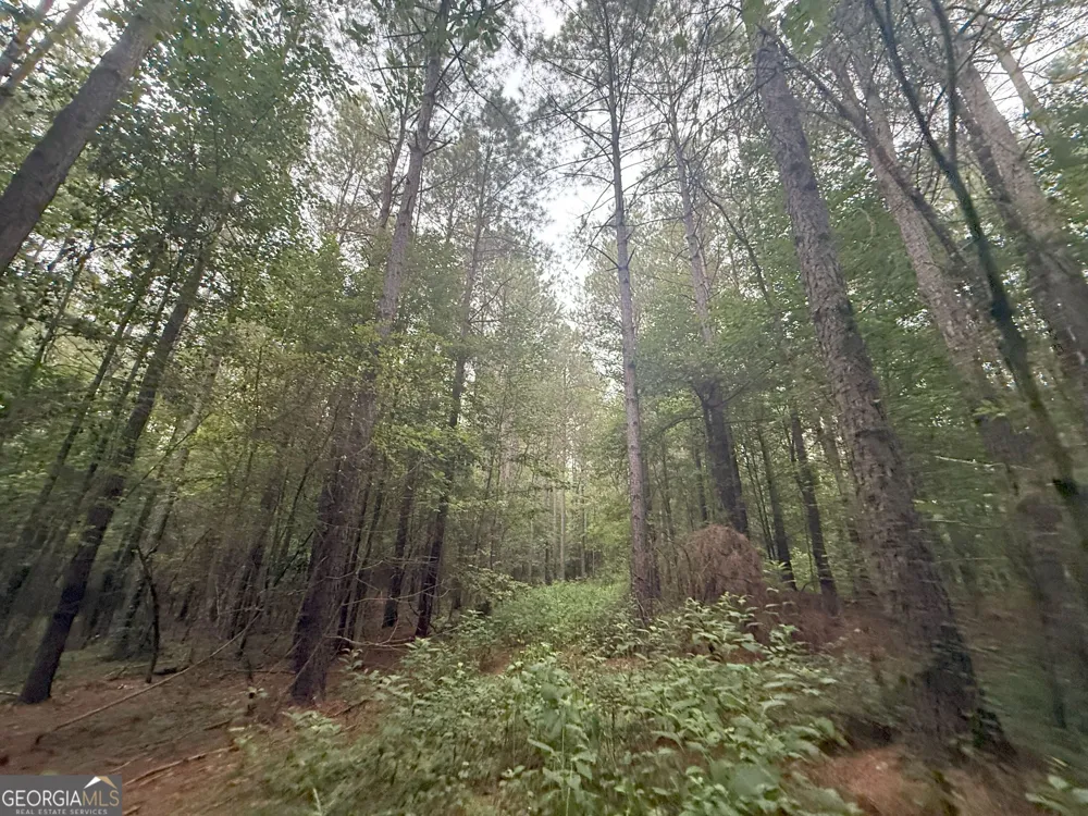 11 Owens RD Maysville, GA 30558