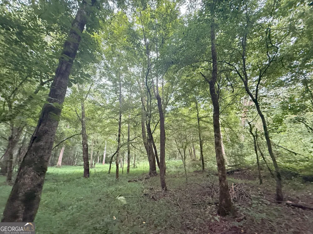 11 Owens RD Maysville, GA 30558