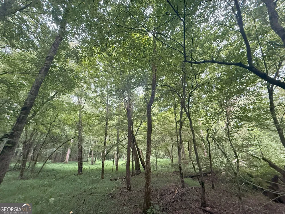 11 Owens RD Maysville, GA 30558