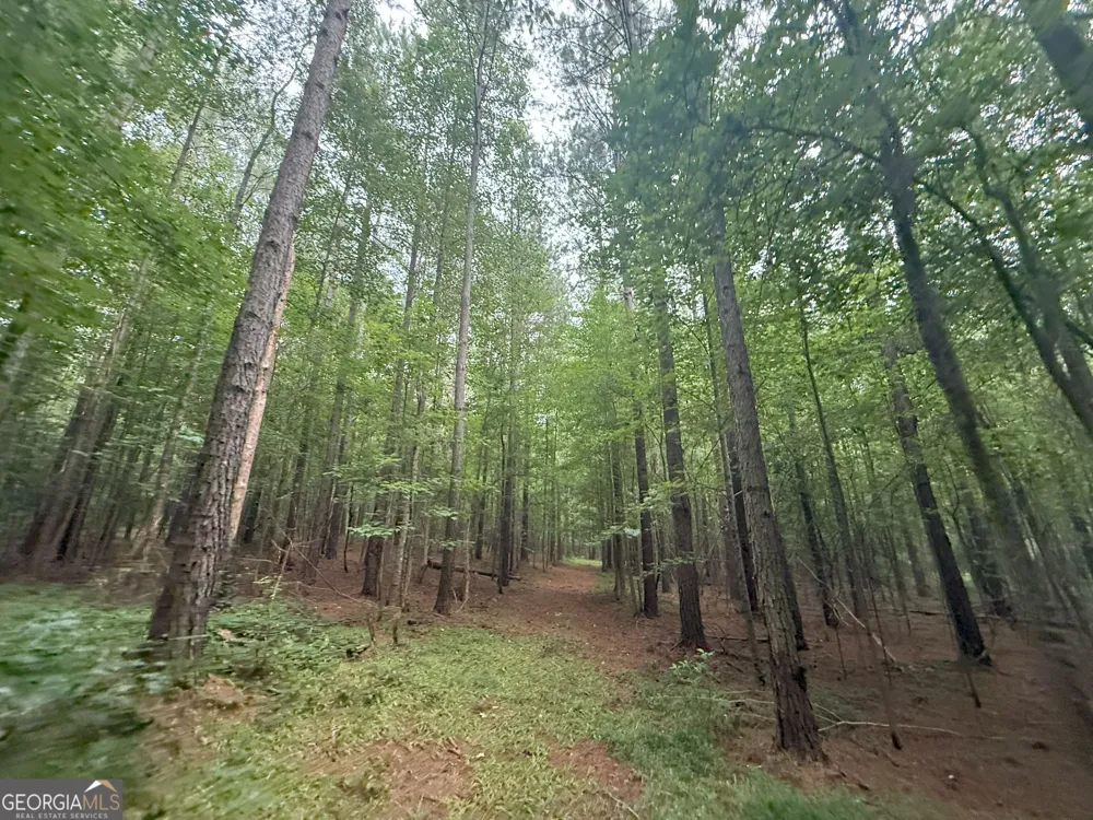 11 Owens RD Maysville, GA 30558