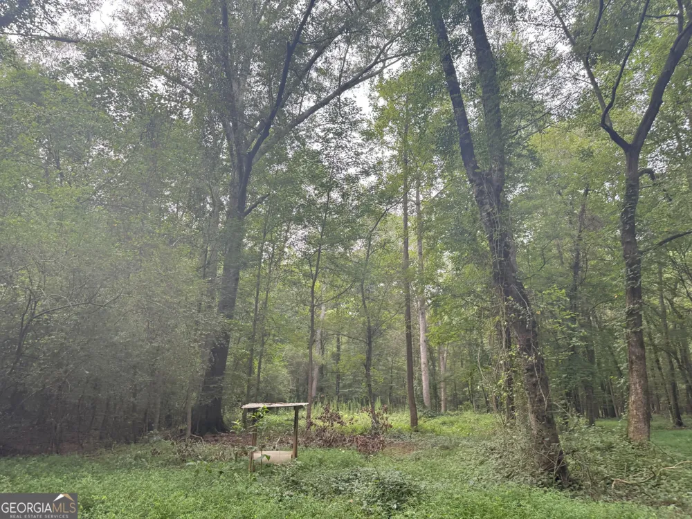 11 Owens RD Maysville, GA 30558