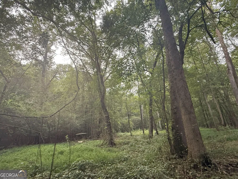 11 Owens RD Maysville, GA 30558