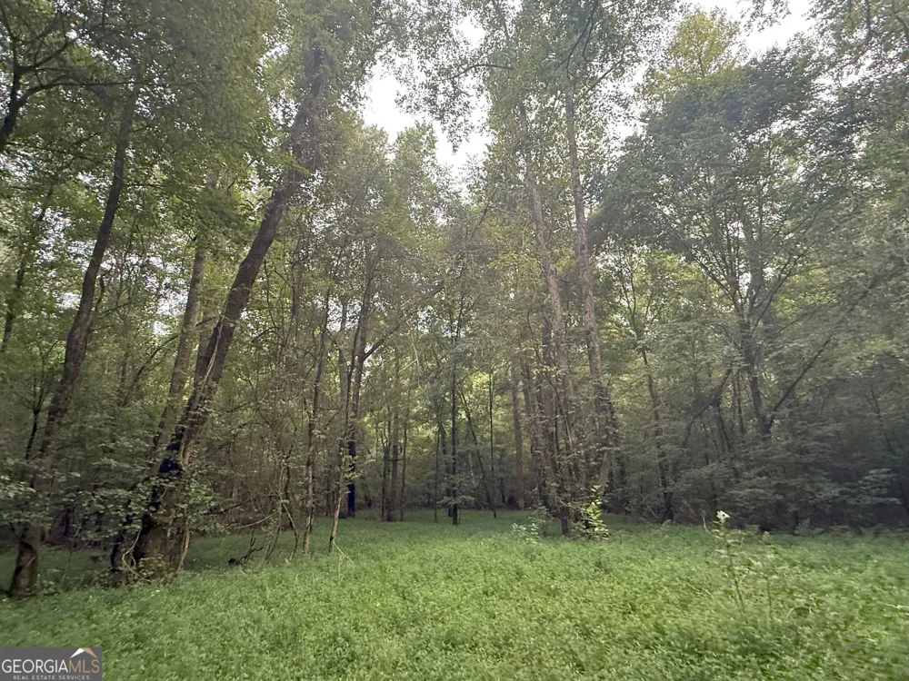 11 Owens RD Maysville, GA 30558