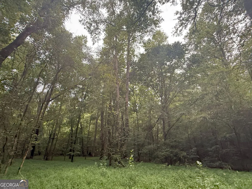 11 Owens RD Maysville, GA 30558