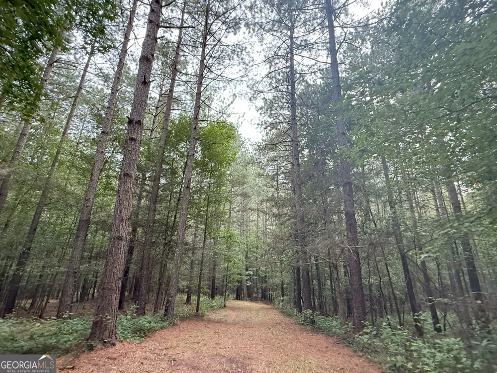 11 Owens RD Maysville, GA 30558