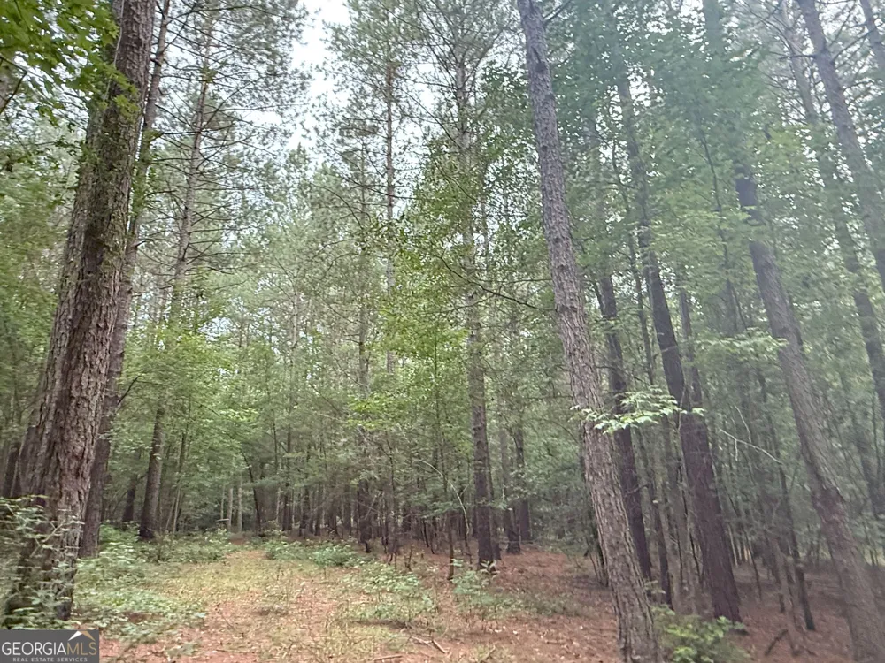 11 Owens RD Maysville, GA 30558