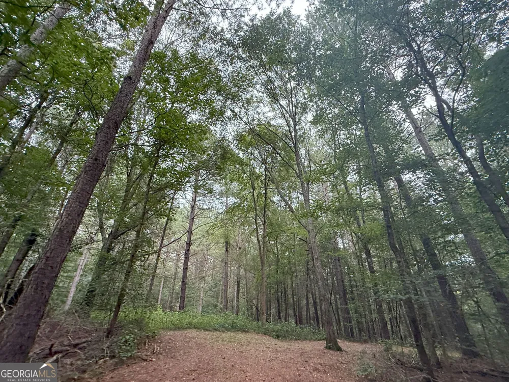 11 Owens RD Maysville, GA 30558