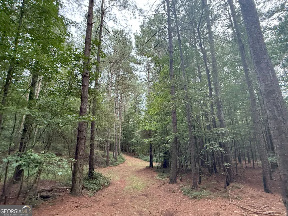 11 Owens RD Maysville, GA 30558
