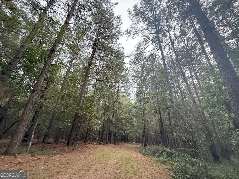 11 Owens RD Maysville, GA 30558