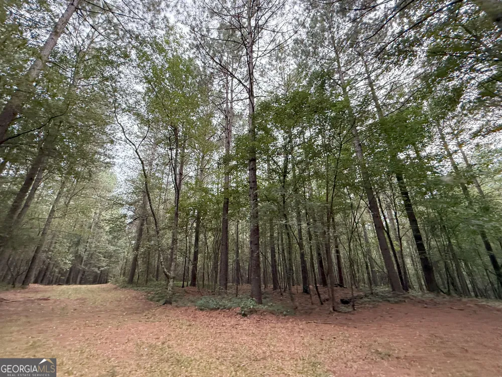 11 Owens RD Maysville, GA 30558
