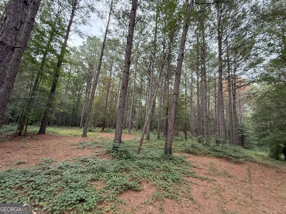 11 Owens RD Maysville, GA 30558