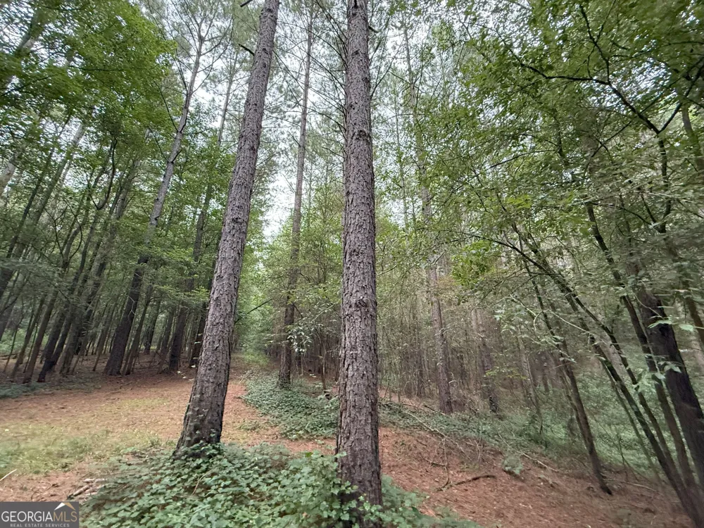 11 Owens RD Maysville, GA 30558