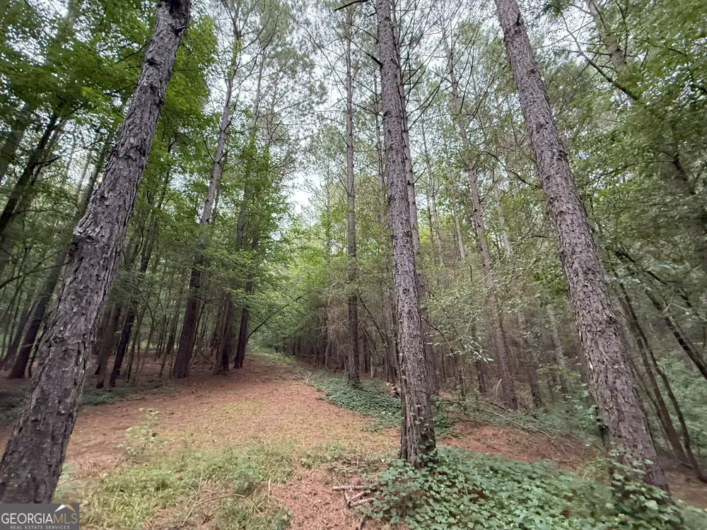 11 Owens RD Maysville, GA 30558