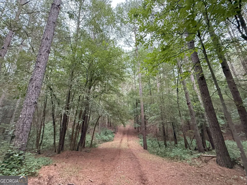 11 Owens RD Maysville, GA 30558