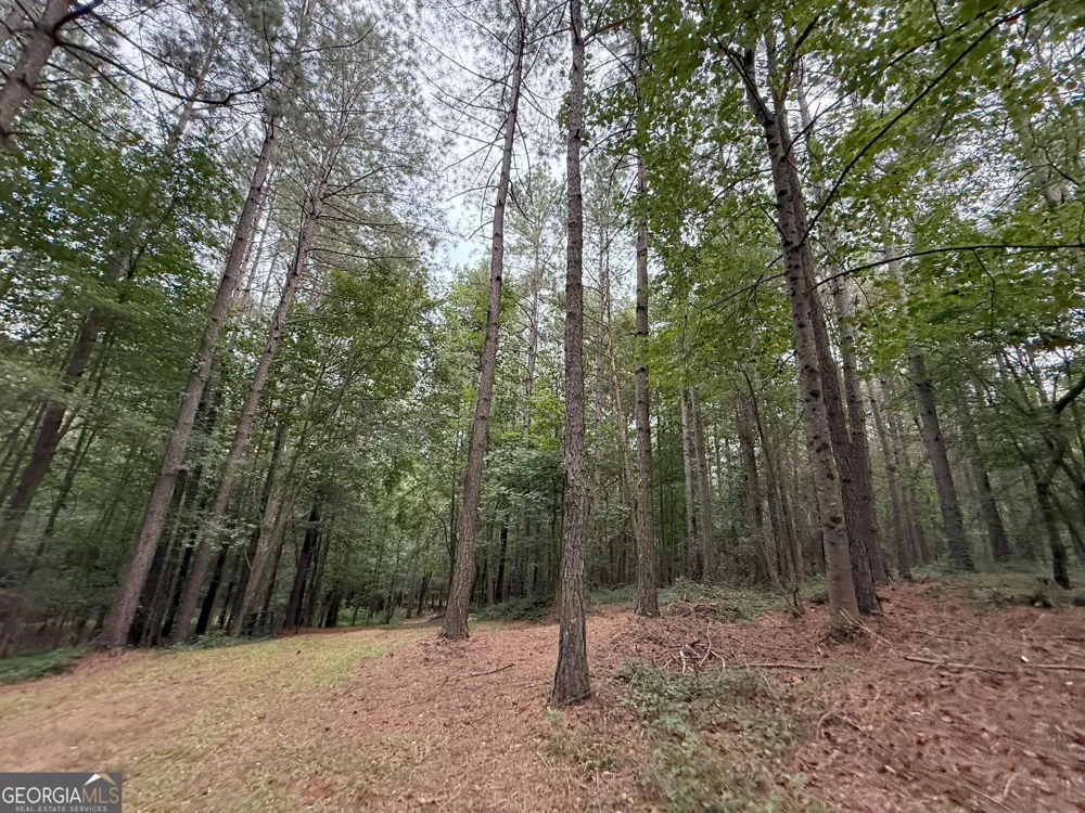 11 Owens RD Maysville, GA 30558