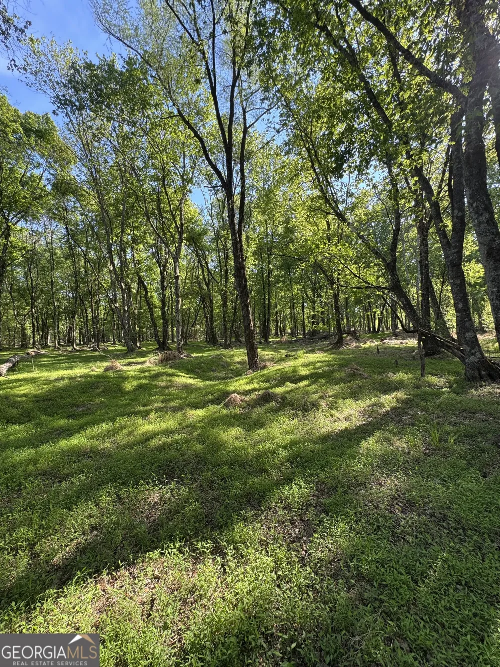 1070 E Hwy 78 Lexington, GA 30648