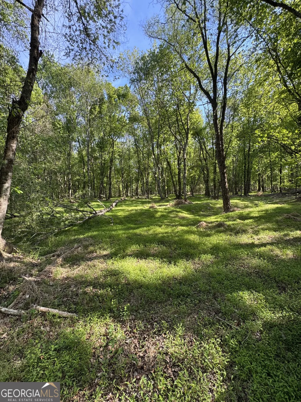 1070 E Hwy 78 Lexington, GA 30648