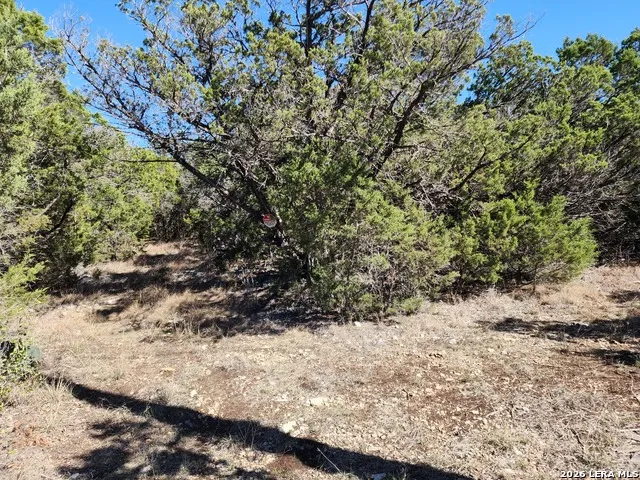 1951 Camino Alto San Marcos, TX 78666