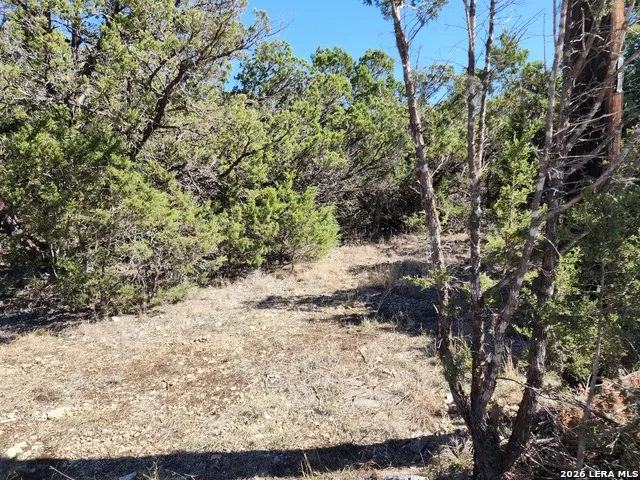 1951 Camino Alto San Marcos, TX 78666