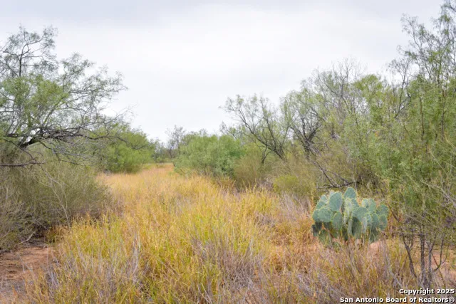 000 Jefferies Road Laredo, TX 78045