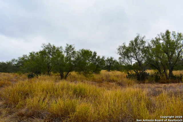 000 Jefferies Road Laredo, TX 78045