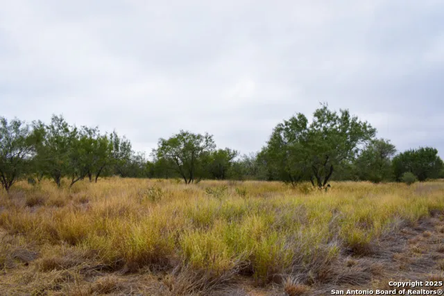 000 Jefferies Road Laredo, TX 78045