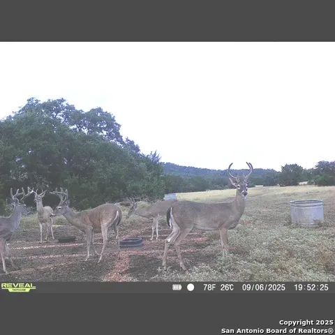 5430 CR-111 Utopia, TX 78884