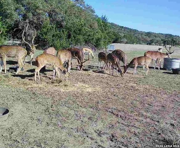 5430 CR-111 Utopia, TX 78884
