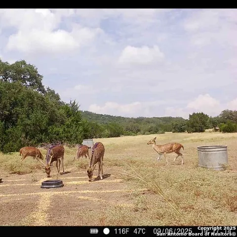 5430 CR-111 Utopia, TX 78884