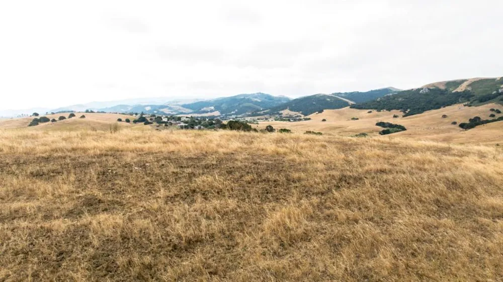 1 Little Merrill Road San Juan Bautista, CA 95045