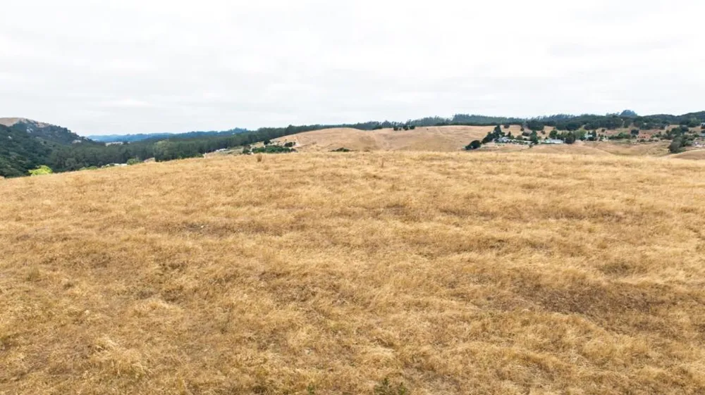 1 Little Merrill Road San Juan Bautista, CA 95045