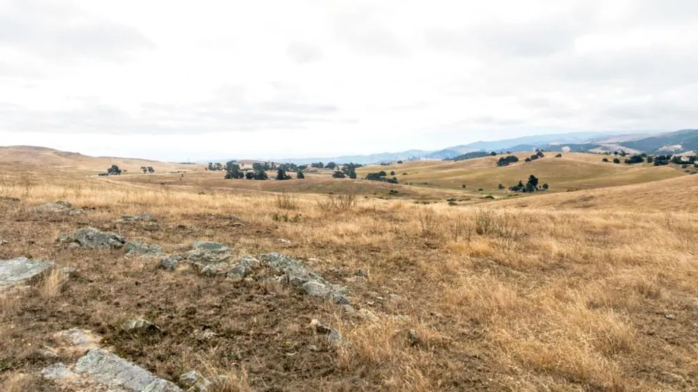 1 Little Merrill Road San Juan Bautista, CA 95045