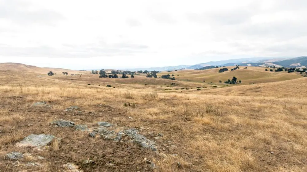 1 Little Merrill Road San Juan Bautista, CA 95045