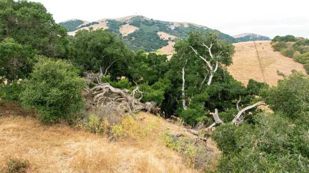 1 Little Merrill Road San Juan Bautista, CA 95045
