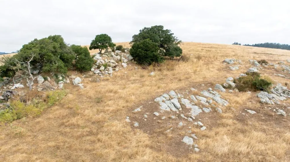 1 Little Merrill Road San Juan Bautista, CA 95045