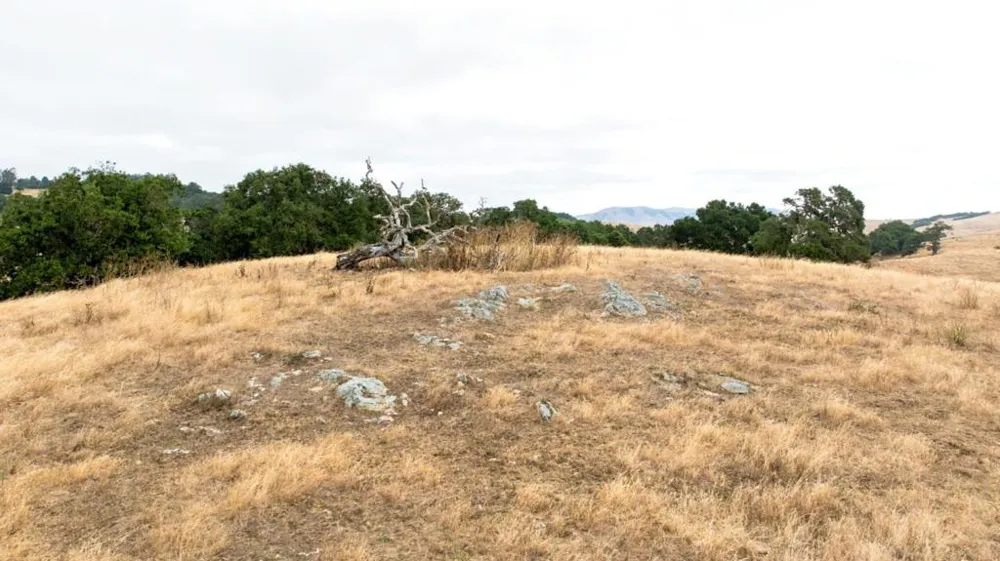 1 Little Merrill Road San Juan Bautista, CA 95045