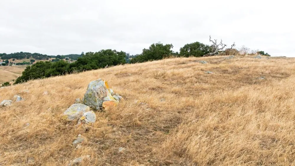 1 Little Merrill Road San Juan Bautista, CA 95045