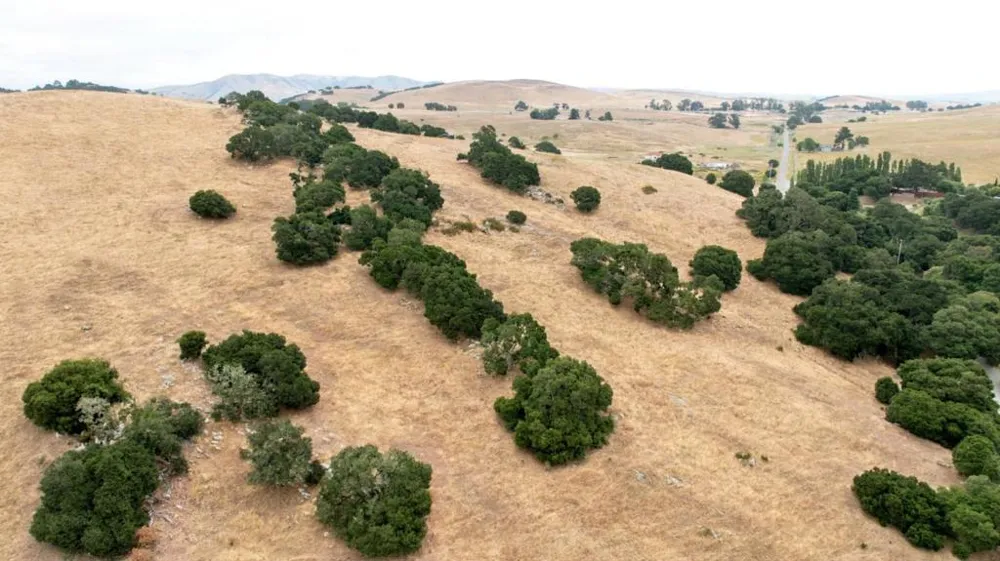 1 Little Merrill Road San Juan Bautista, CA 95045