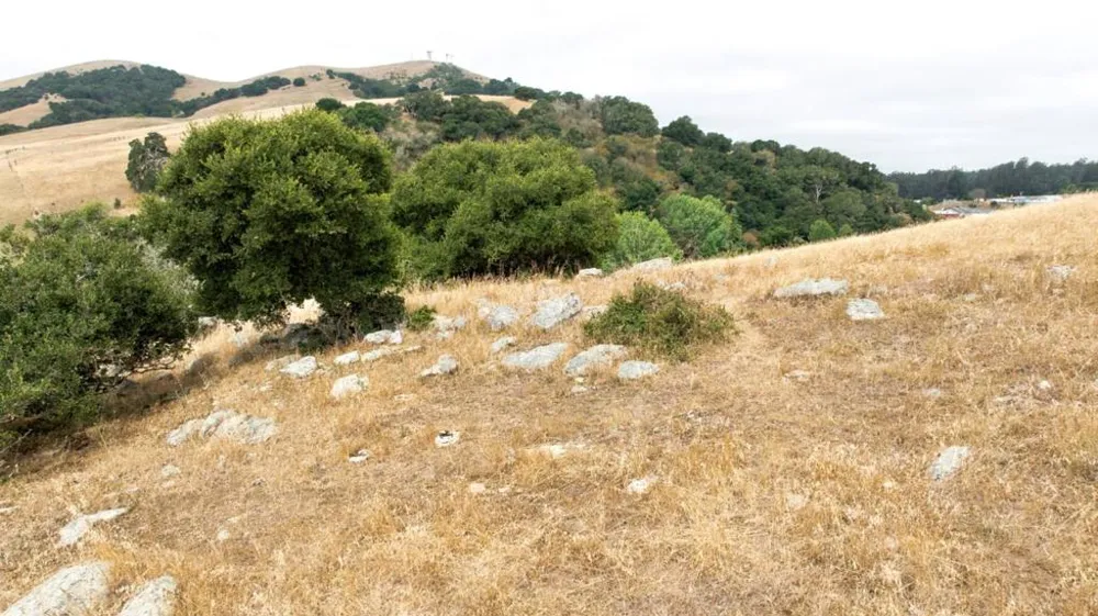 1 Little Merrill Road San Juan Bautista, CA 95045