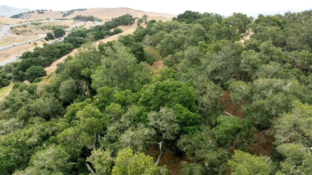 1 Little Merrill Road San Juan Bautista, CA 95045