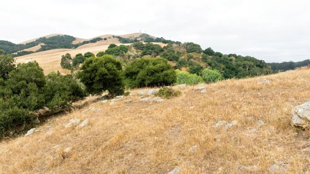 1 Little Merrill Road San Juan Bautista, CA 95045