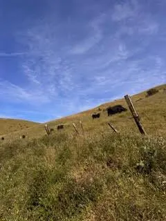 1 Little Merrill Road San Juan Bautista, CA 95045